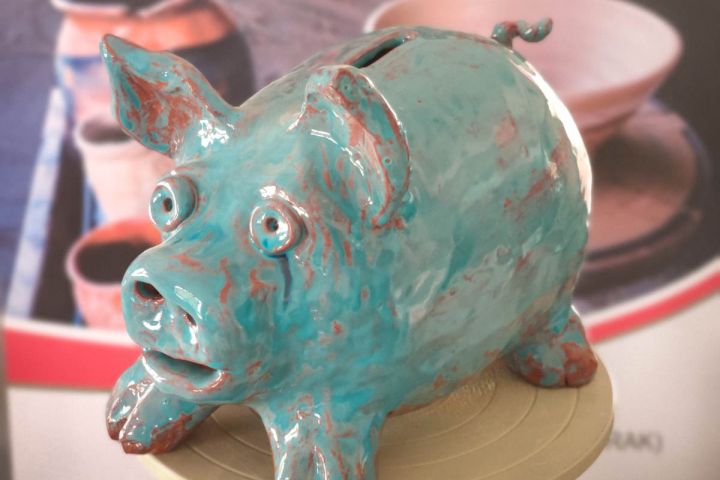 IZAZOV ZA OBITELJ: Unesite kasicu prasicu u vaš dom!